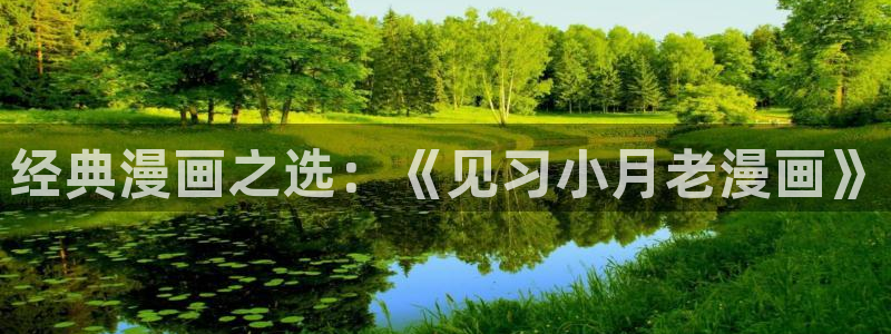 漫蛙有病毒：经典漫画之选：《见习小月老漫画》