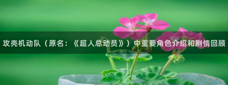 《漫蛙》：攻壳机动队（原名：《超人总动员》）中重要角色介绍和剧情回顾