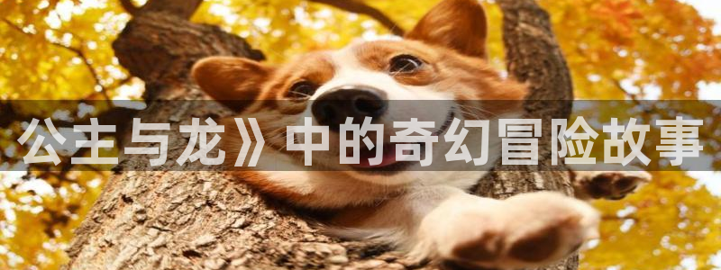 漫蛙正版入口：公主与龙》中的奇幻冒险故事
