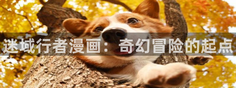 漫蛙manwa防走失站 安卓版：迷域行者漫画：奇幻冒险的起点