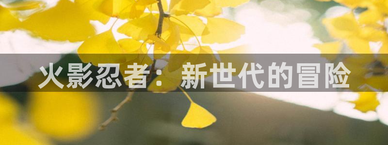 漫蛙 app：火影忍者：新世代的冒险