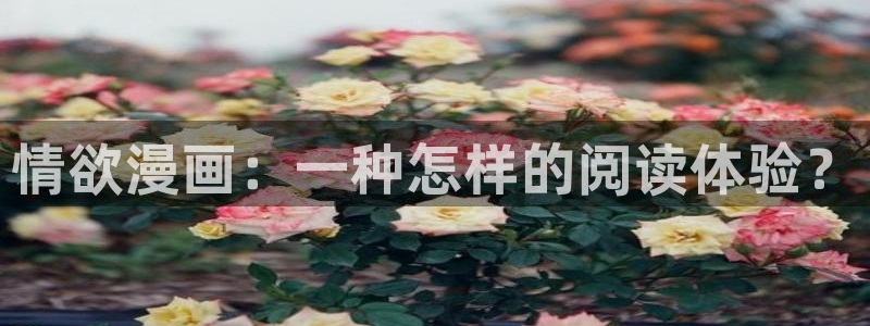 漫蛙manwa2网址：情欲漫画：一种怎样的阅读体验？