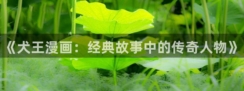 漫蛙漫画首页登录入口：《犬王漫画：经典故事中的传奇人物》