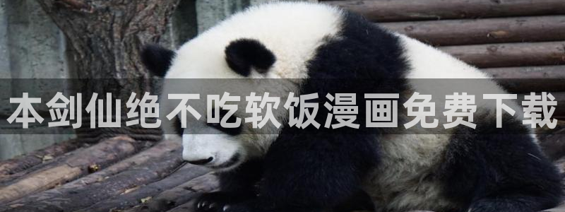 漫蛙防走丢网址：本剑仙绝不吃软饭漫画免费下载