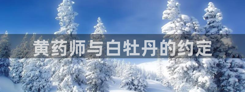 漫蛙网址是什么：黄药师与白牡丹的约定
