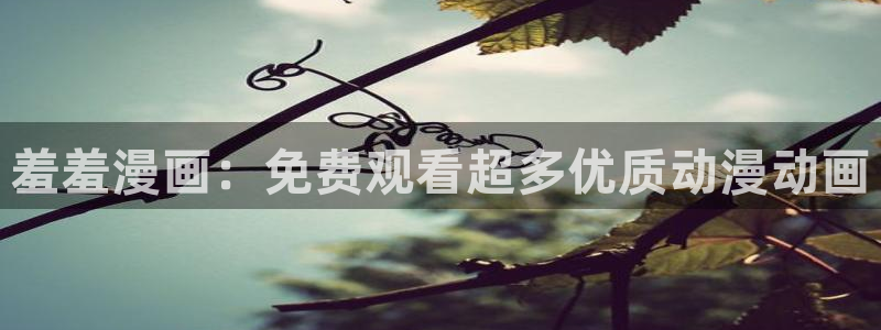 漫蛙漫画官网app：羞羞漫画：免费观看超多优质动漫动画