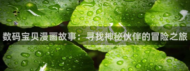 漫蛙老版本：数码宝贝漫画故事：寻找神秘伙伴的冒险之旅