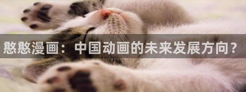 湿点漫蛙：憨憨漫画：中国动画的未来发展方向？