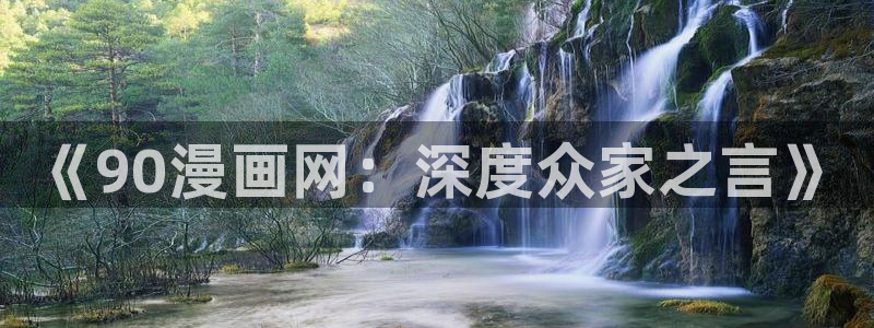 趣漫蛙：《90漫画网：深度众家之言》