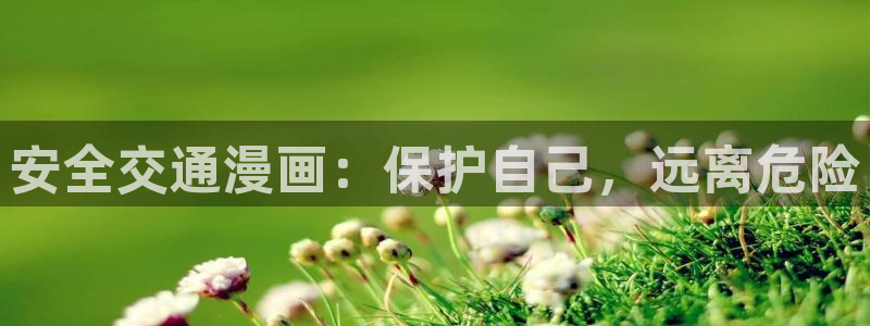 漫蛙漫画官方页面免费漫画入口：安全交通漫画：保护自己，远离危险